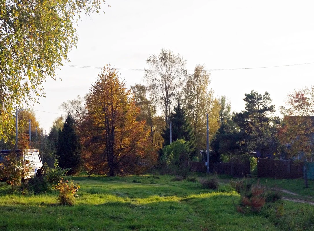 IMGP1681.webp
