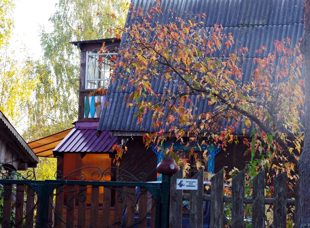 IMGP1699.webp