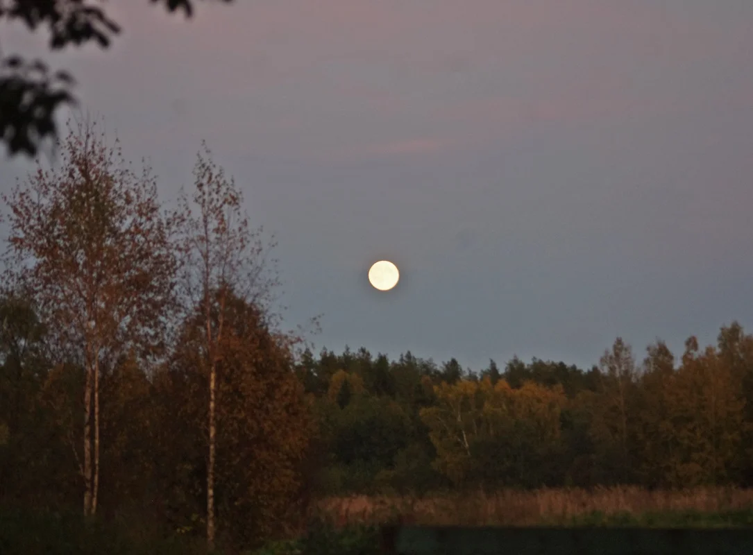 IMGP1749.webp