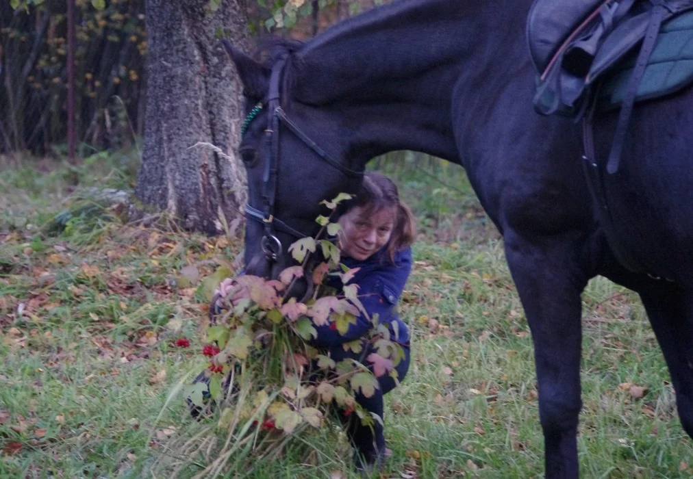 IMGP1760.webp