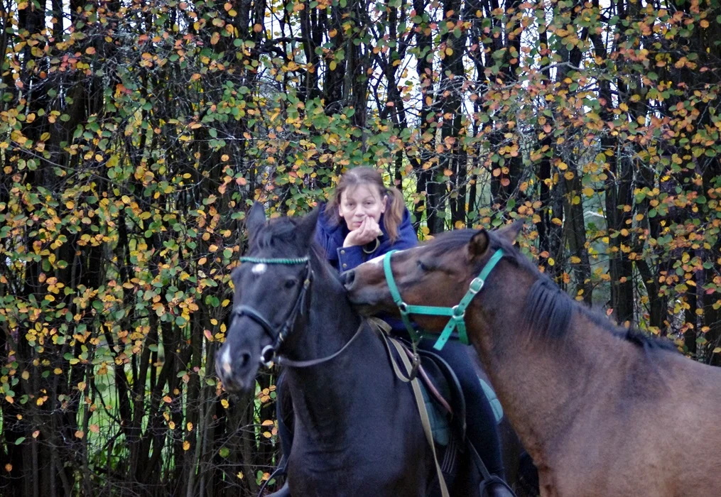 IMGP1772.webp