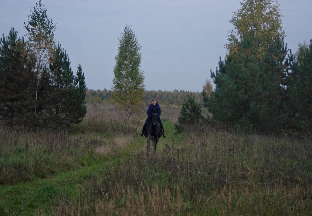 IMGP1791.webp