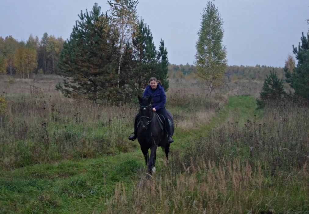 IMGP1794.webp