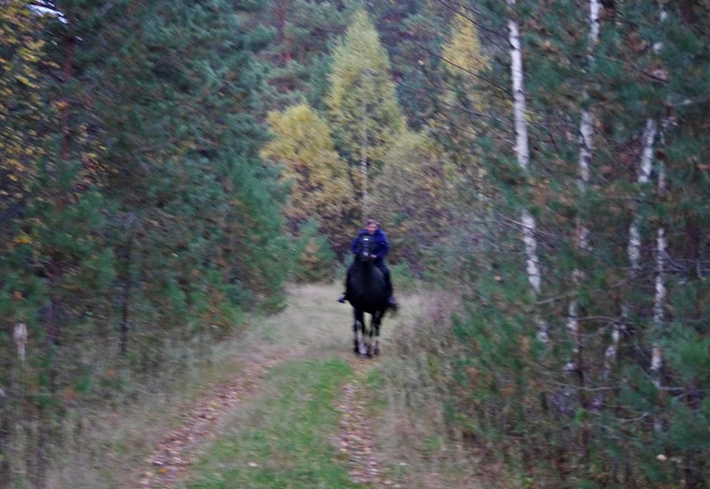 IMGP1799.webp