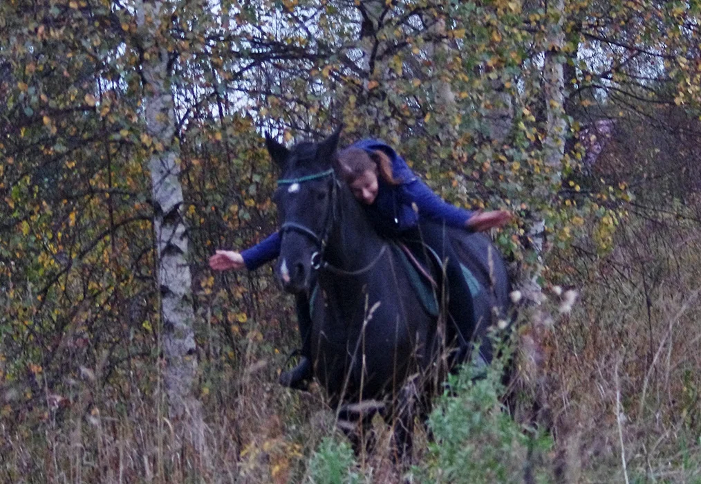 IMGP1822.webp