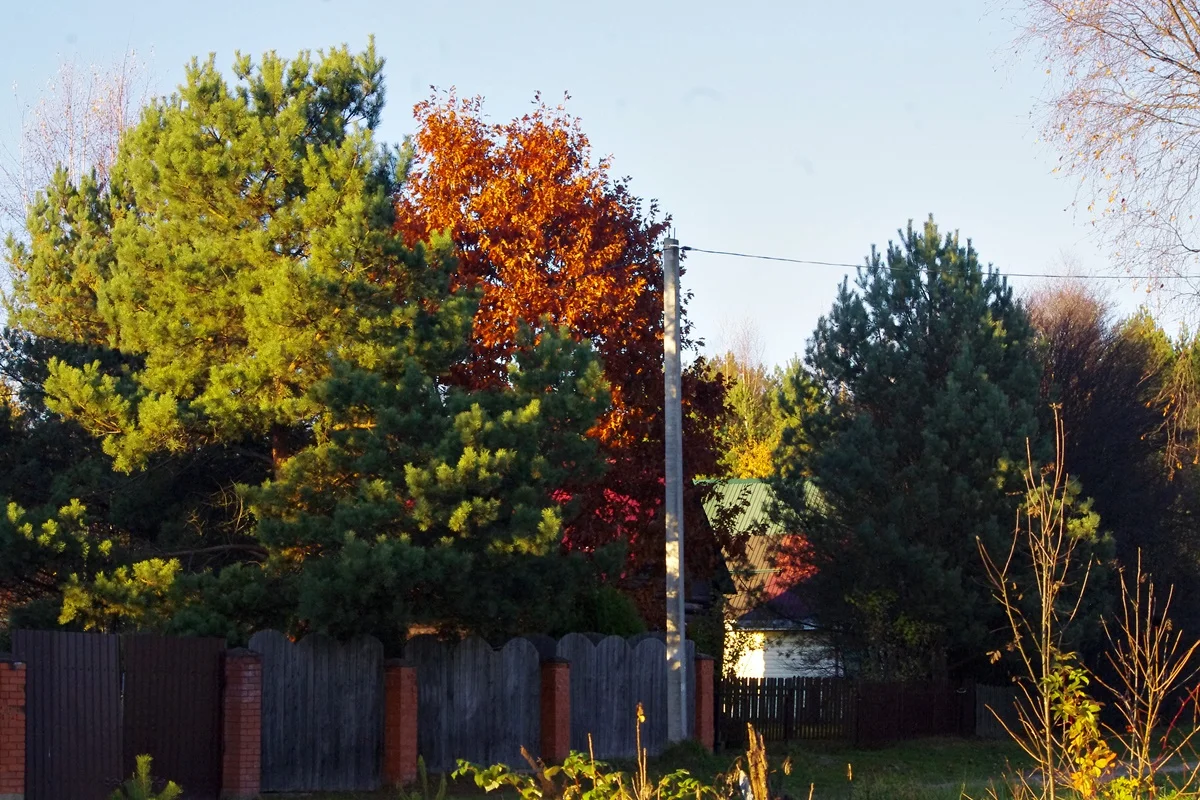IMGP1881.webp