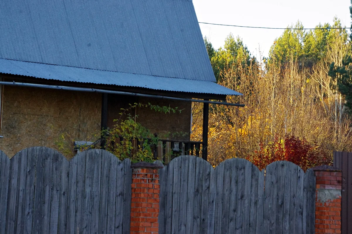 IMGP1884.webp