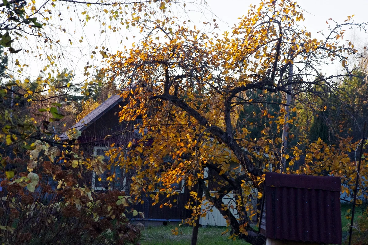 IMGP1891.webp
