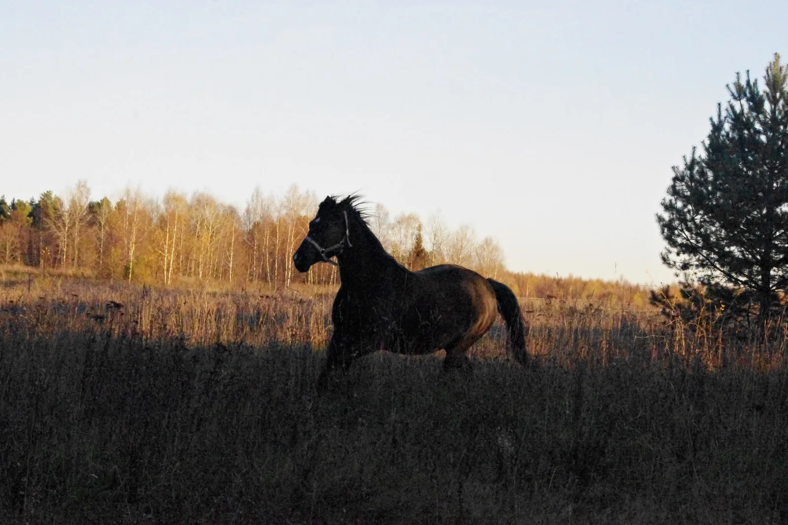 IMGP1908.webp