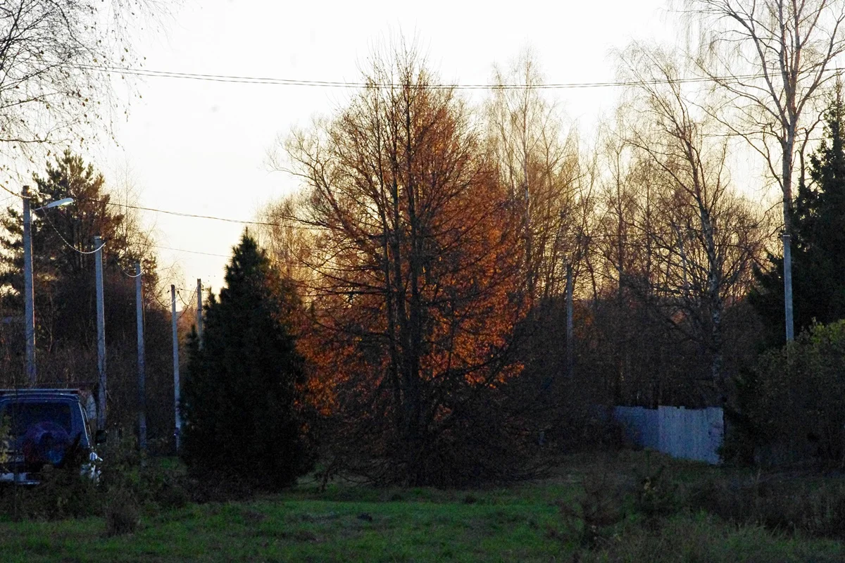 IMGP1973.webp