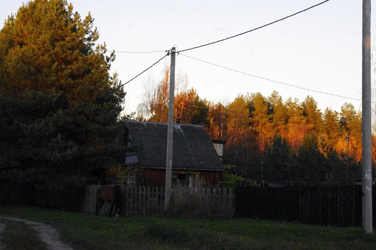 IMGP1980.webp
