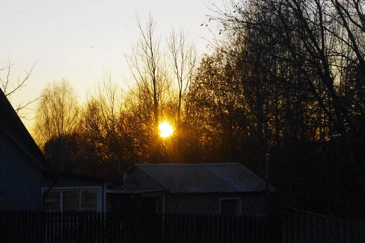 IMGP1984.webp