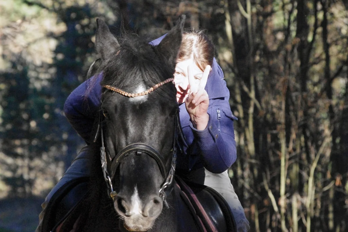 IMGP2056.webp