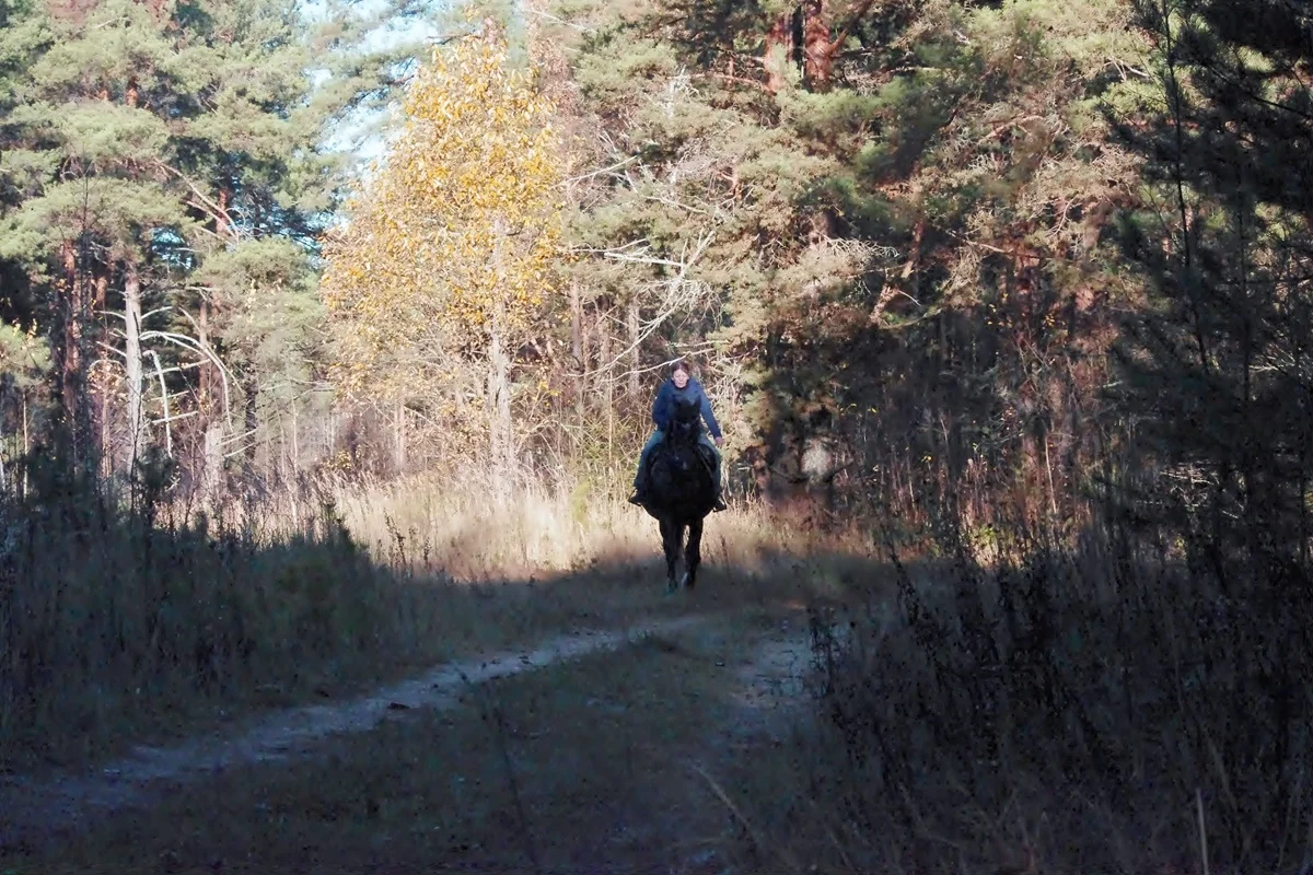 IMGP2065.webp
