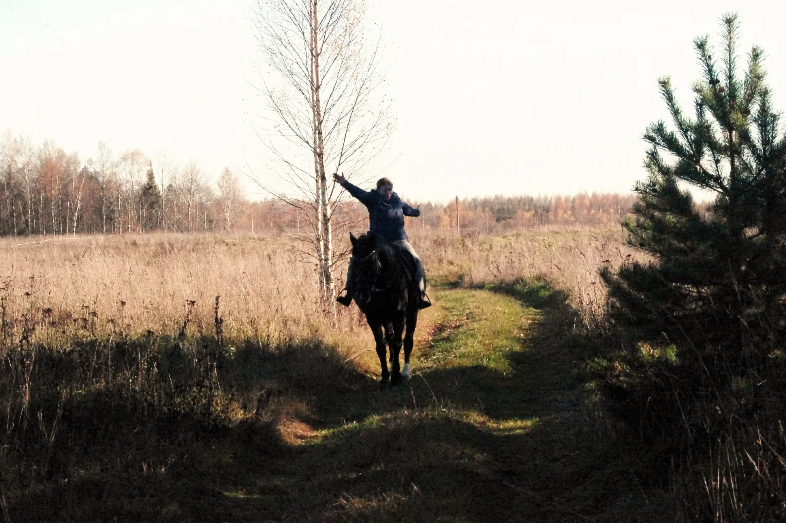 IMGP2131.webp