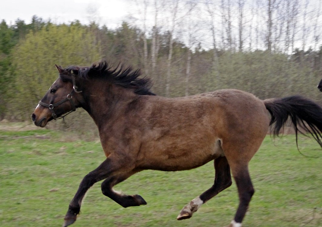 IMGP9547.JPG