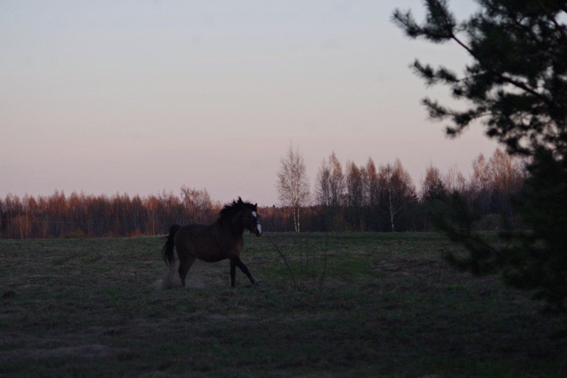 IMGP9587.JPG