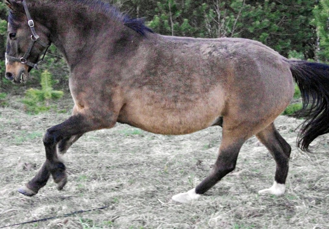 IMGP9601.JPG