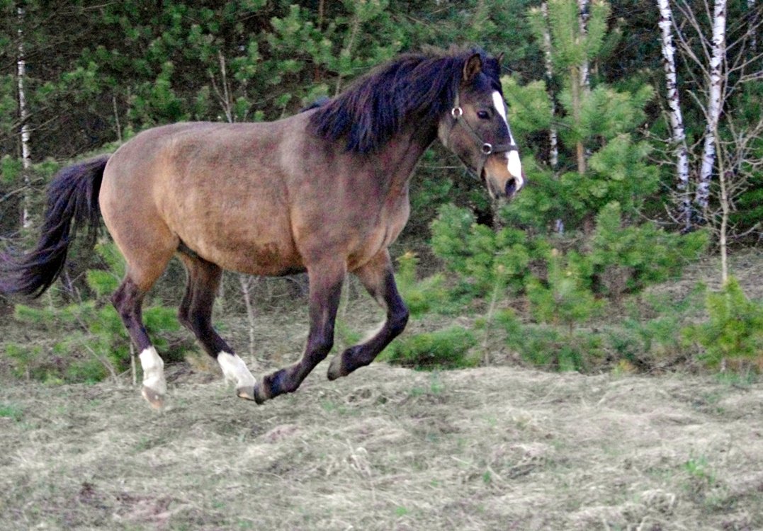 IMGP9605.JPG