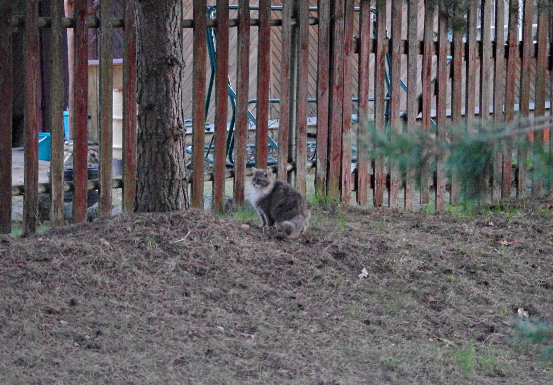 IMGP9609.JPG