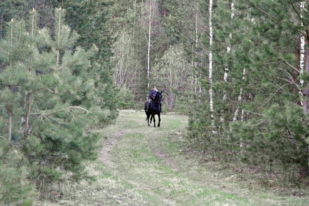IMGP9710.JPG