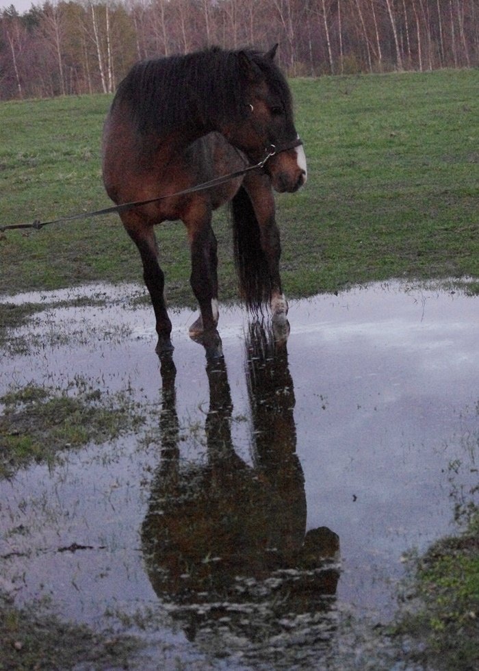 IMGP9759.JPG