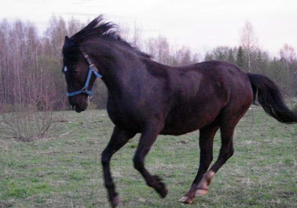 IMGP9803.JPG