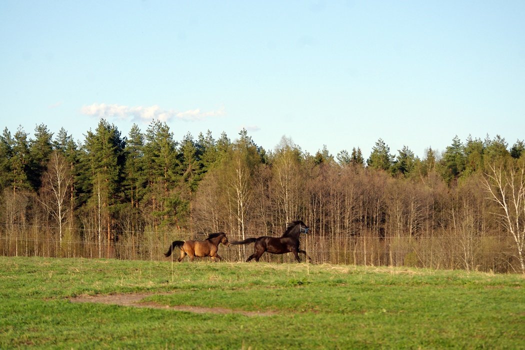 IMGP9875.JPG