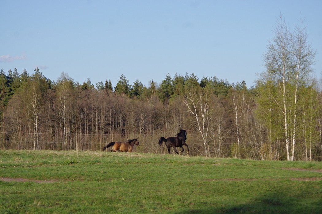IMGP9876.JPG