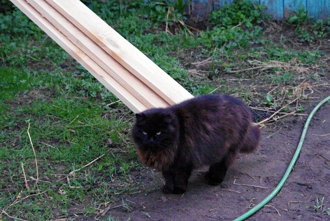 IMGP9913.JPG