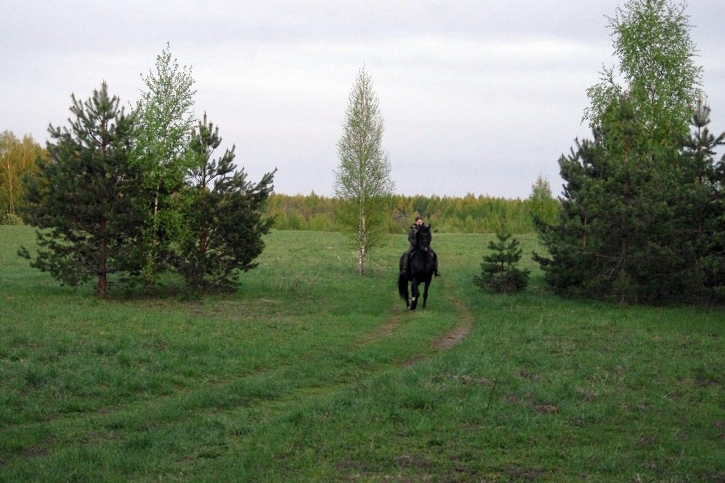 IMGP9955.JPG