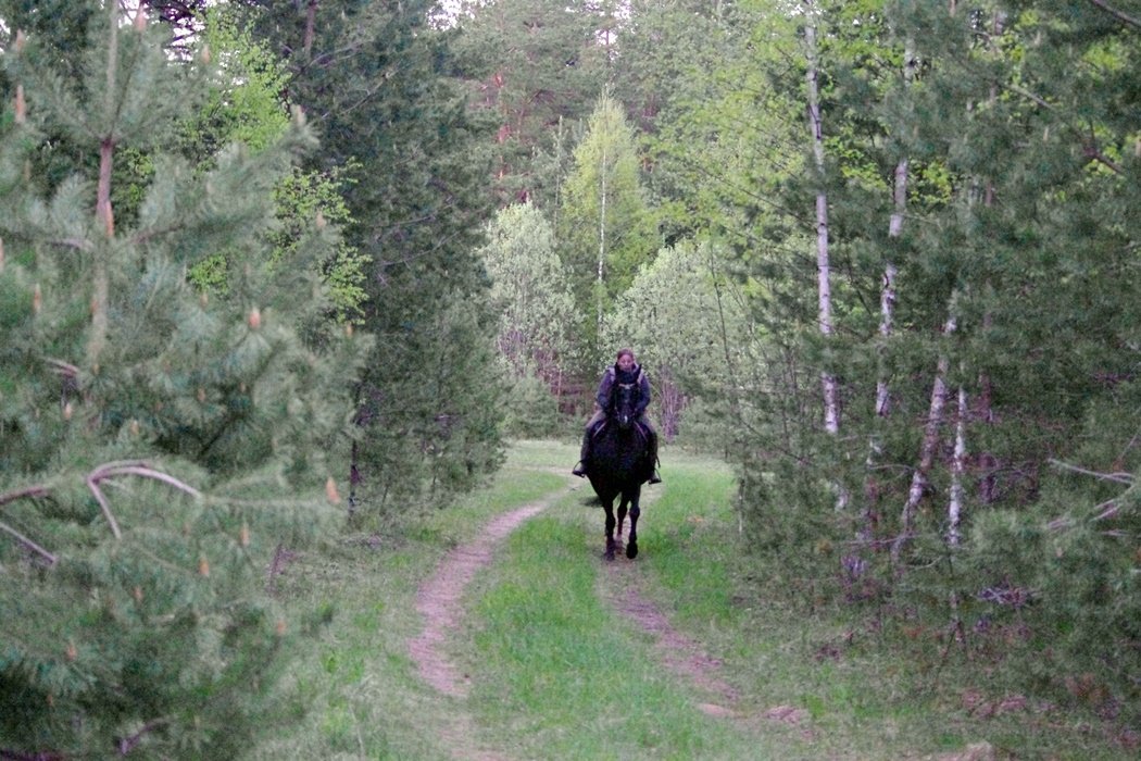IMGP9968.JPG