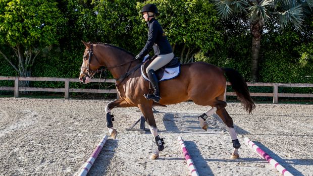improve-rideability-for-confident-courses-promo-image.jpg