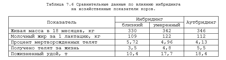 инбридинг крс.jpg