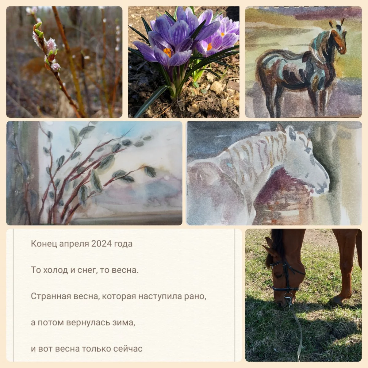 InCollage_20240428_152118097.webp