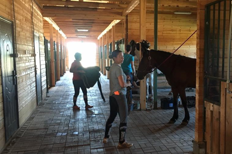 интерьер конюшни.jpg