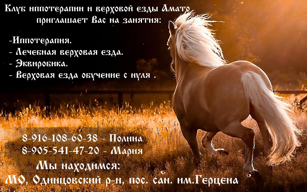 Иппотерапия Амато.jpg