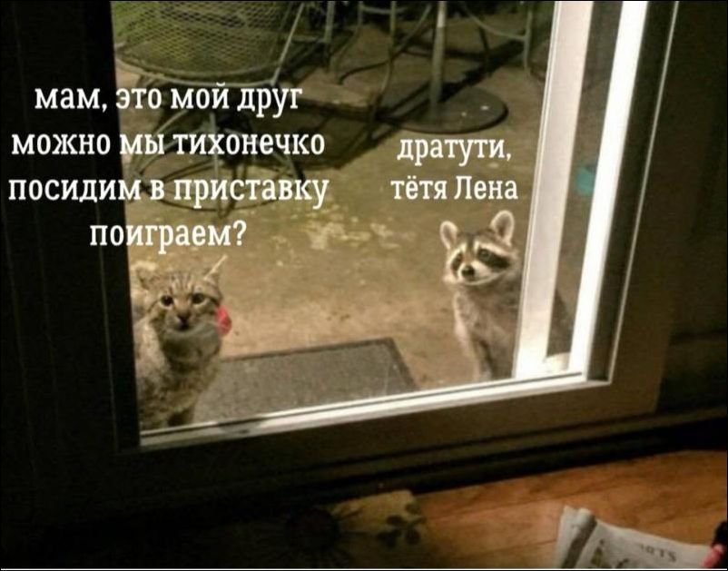 Iy1OOc3Vhqk.jpg