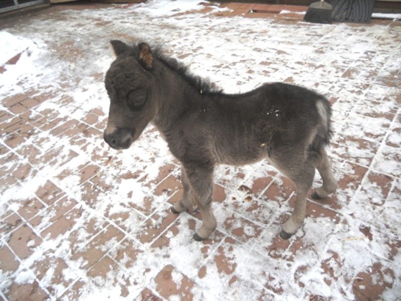 Изображение 004.jpg