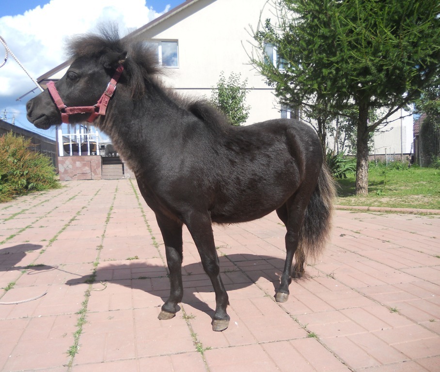 Изображение 012.jpg