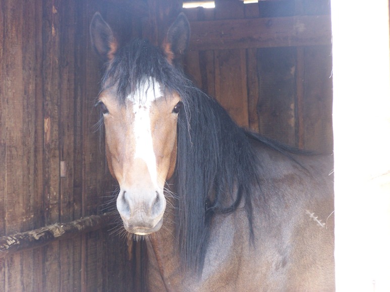 Изображение 030а.jpg