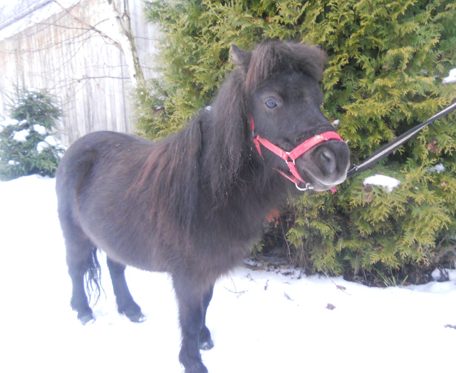 Изображение 115.jpg