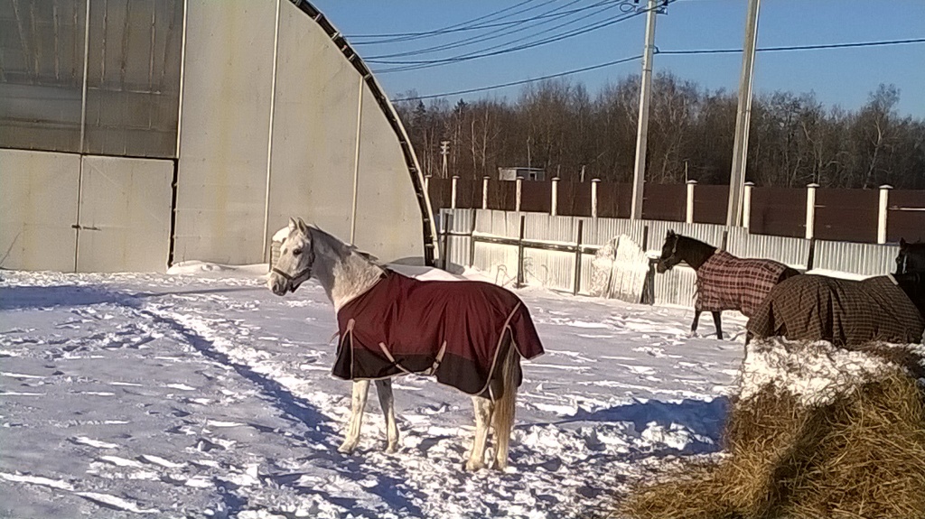 Изображение 181.jpg