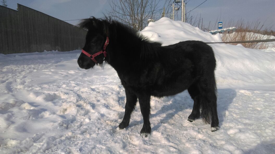 Изображение 186.jpg