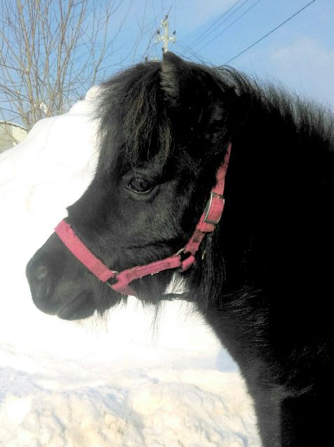 Изображение 218.jpg