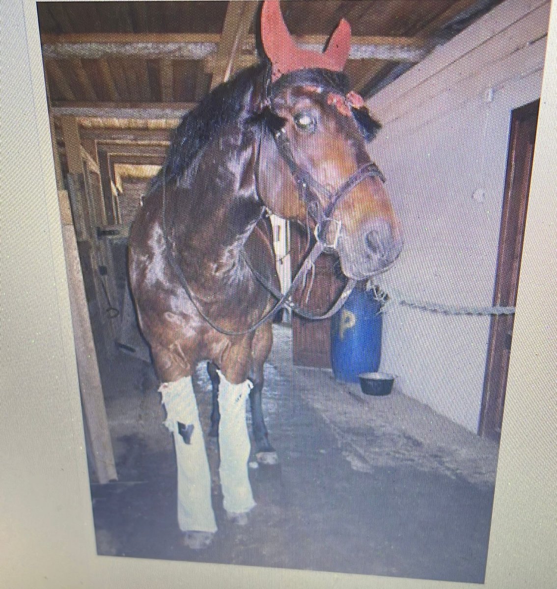 Изображение WhatsApp 2022-11-29 в 19.37.16.jpg