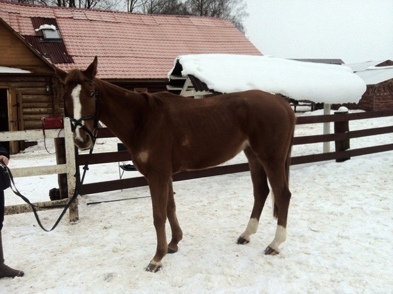 Изображение WhatsApp 2024-04-25 в 23.50.03_c2da8ac8.jpg