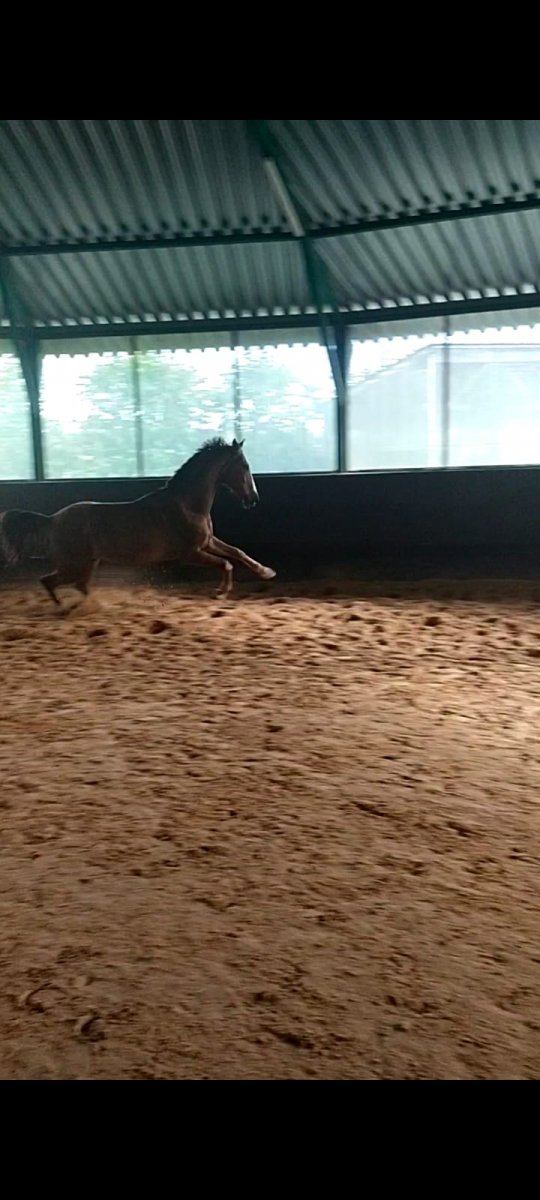 Изображение WhatsApp 2024-06-22 в 22.46.11_947da10b.jpg