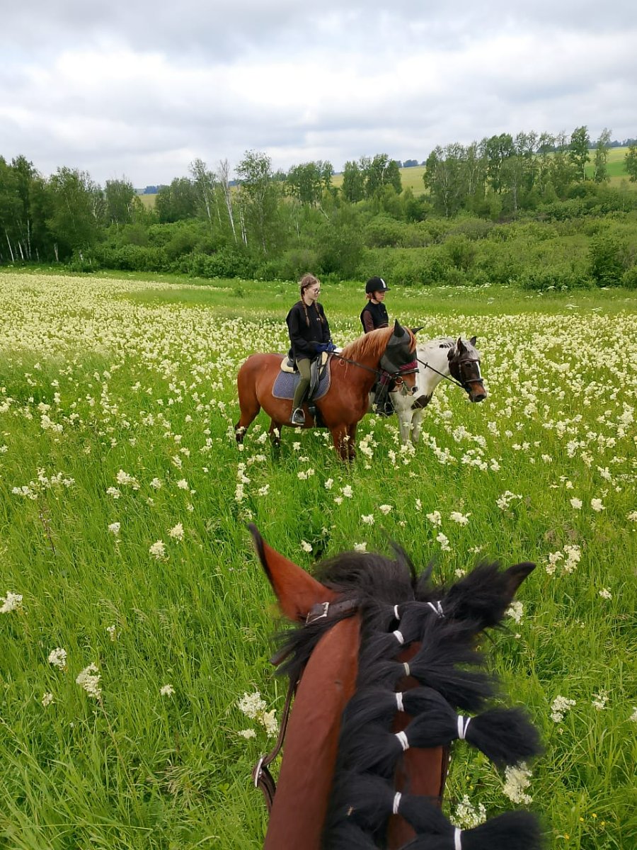 Изображение WhatsApp 2025-06-16 в 17.38.35_224c22fc.jpg