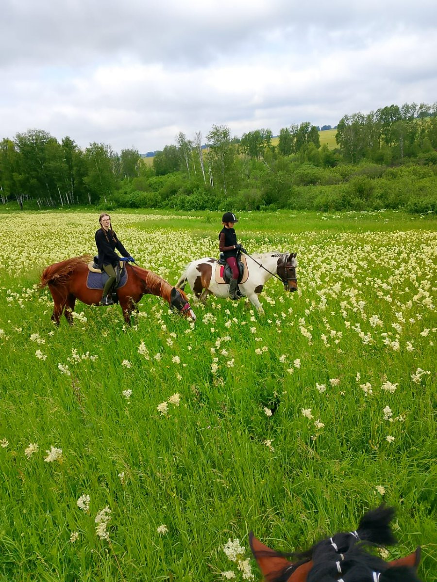 Изображение WhatsApp 2025-06-16 в 17.40.34_e5a1693b.jpg